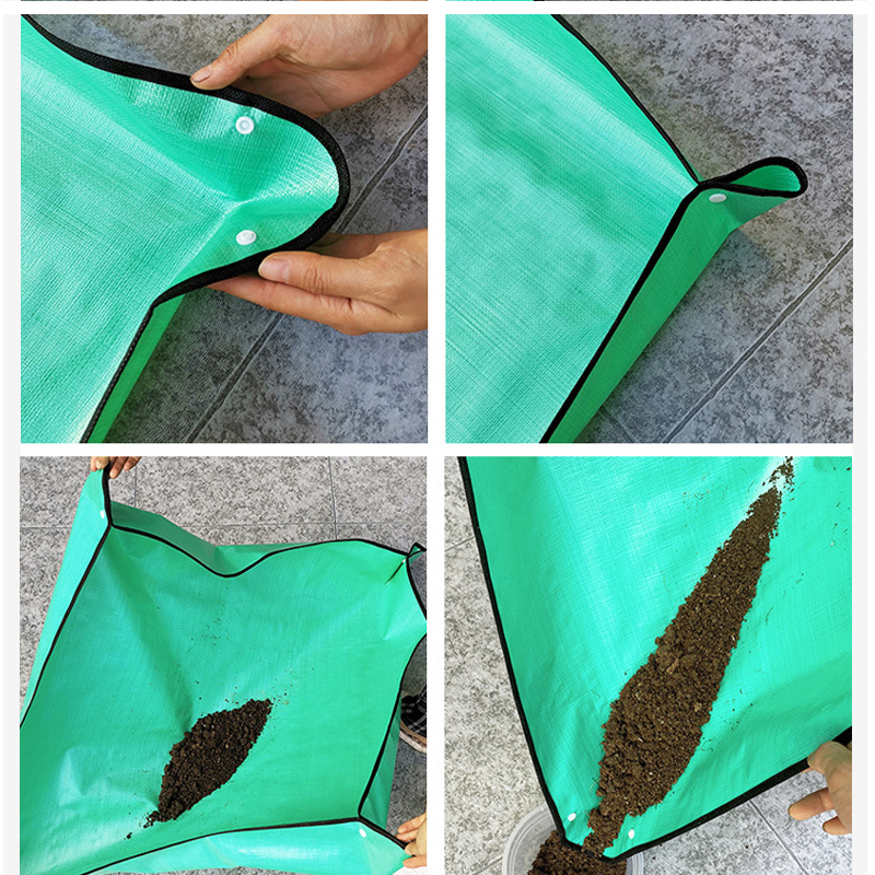 Echeveria Succulent - Plant Repotting Mat Waterproof Transplanting Mat