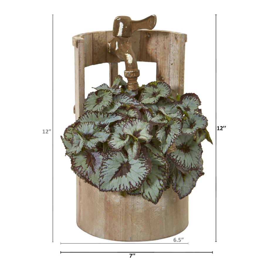 12in. Rex Begonia Artificial P - Begonia Rex ulasan dan harga