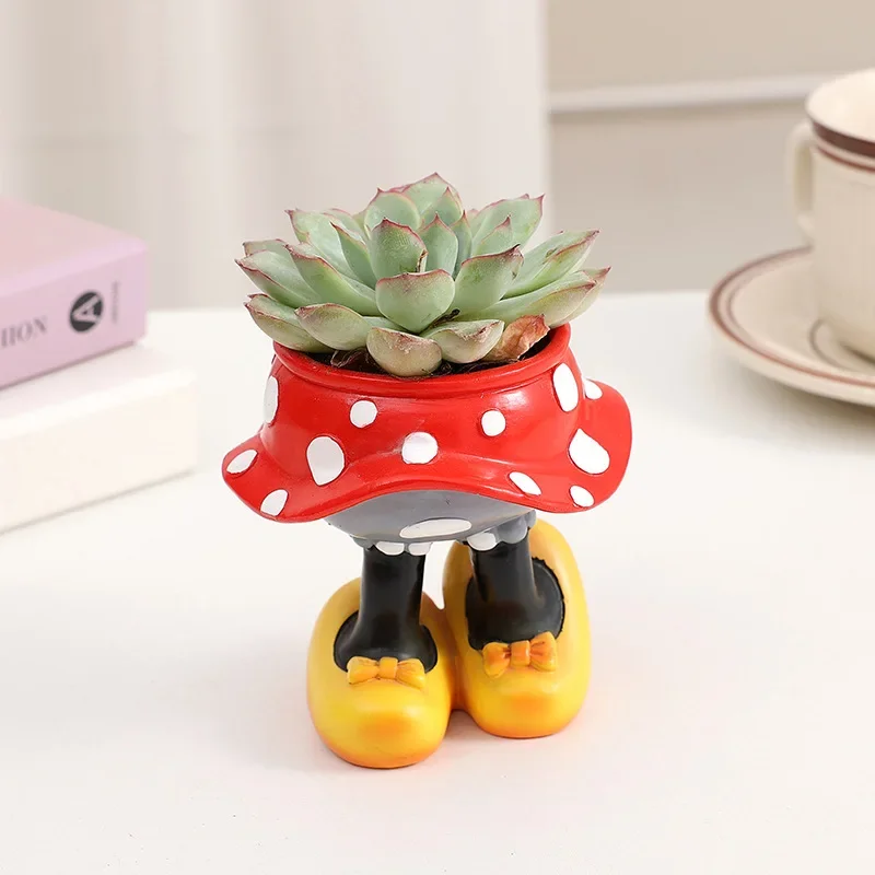 Disney Mickey Minnie Flower Po - Echeveria Succulent ulasan dan harga