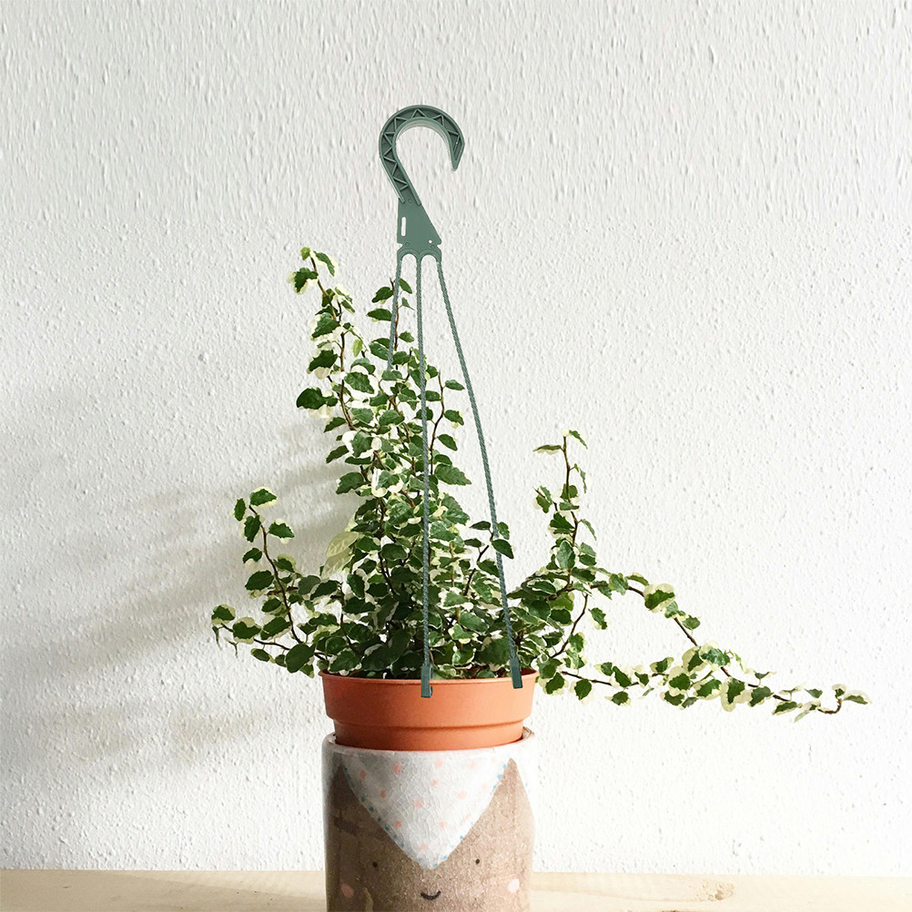 5Pcs Hanging Basket Chain Set  - Spider Plant Hanging ulasan dan harga
