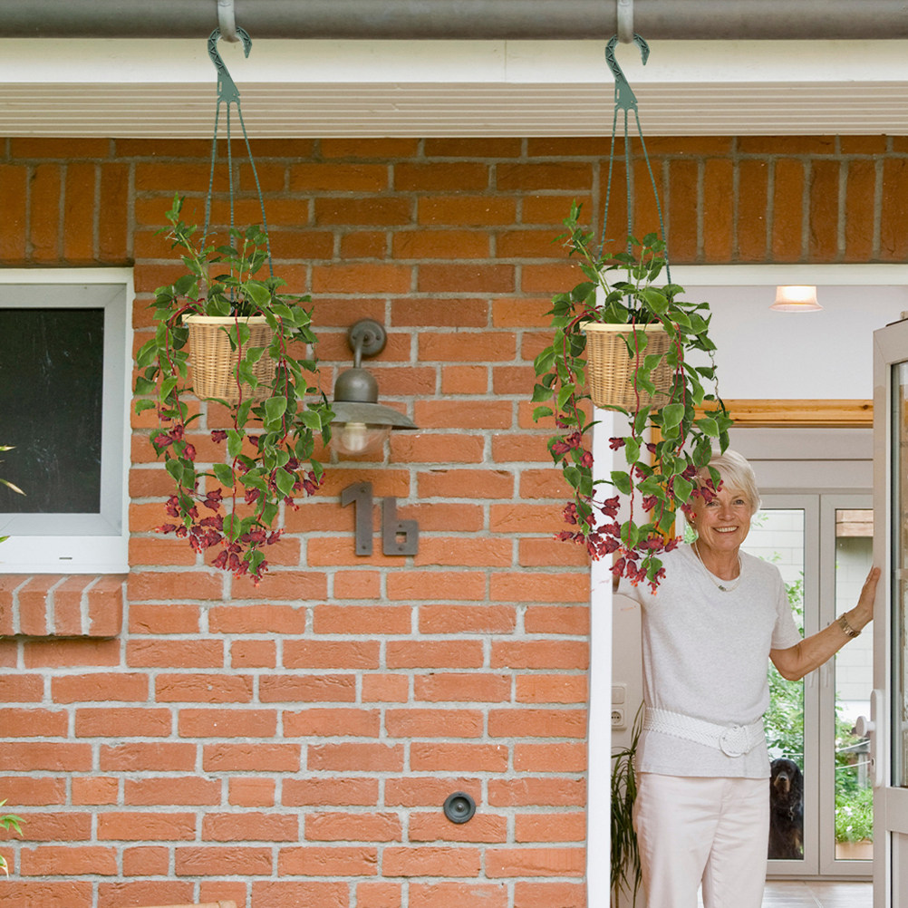 5Pcs Hanging Basket Chain Set  - Spider Plant Hanging ulasan dan harga