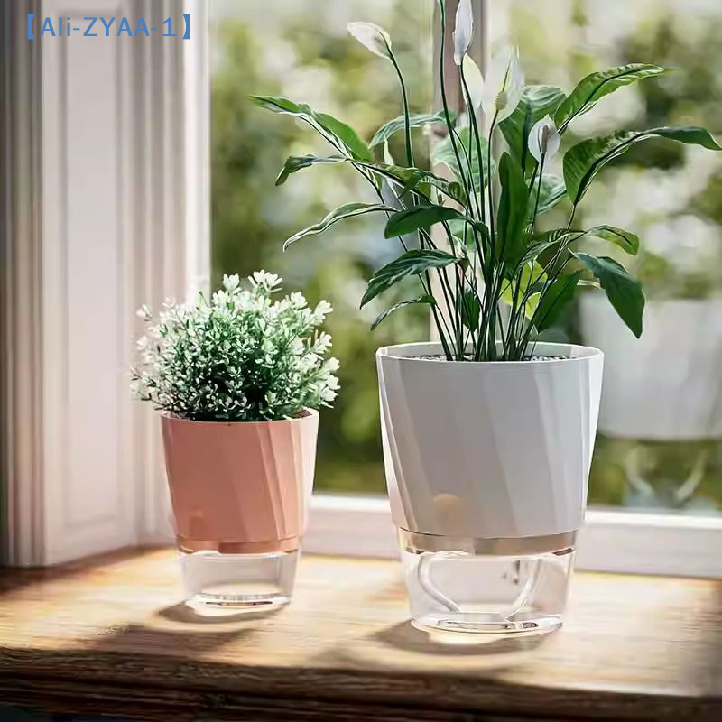 【ZYAA-1】Lazy Hydroponic Flower - Aloe Vera Pot ulasan dan harga