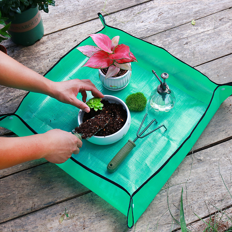 Plant Repotting Mat Waterproof - Echeveria Succulent ulasan dan harga
