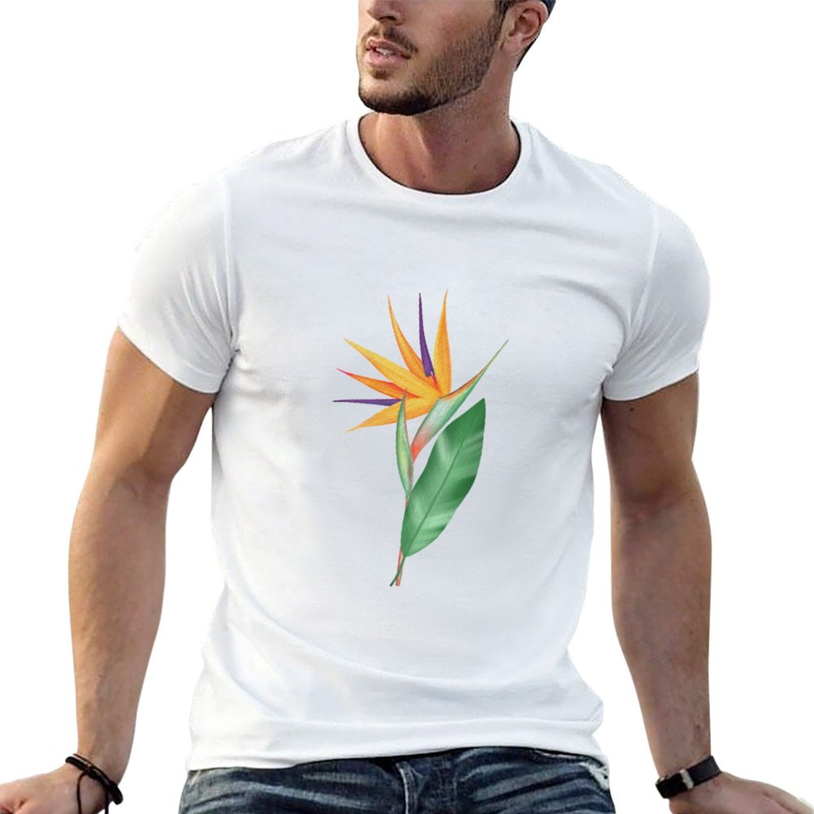 Watercolor bird of paradise fl - Bird Paradise Strelitzia ulasan dan harga