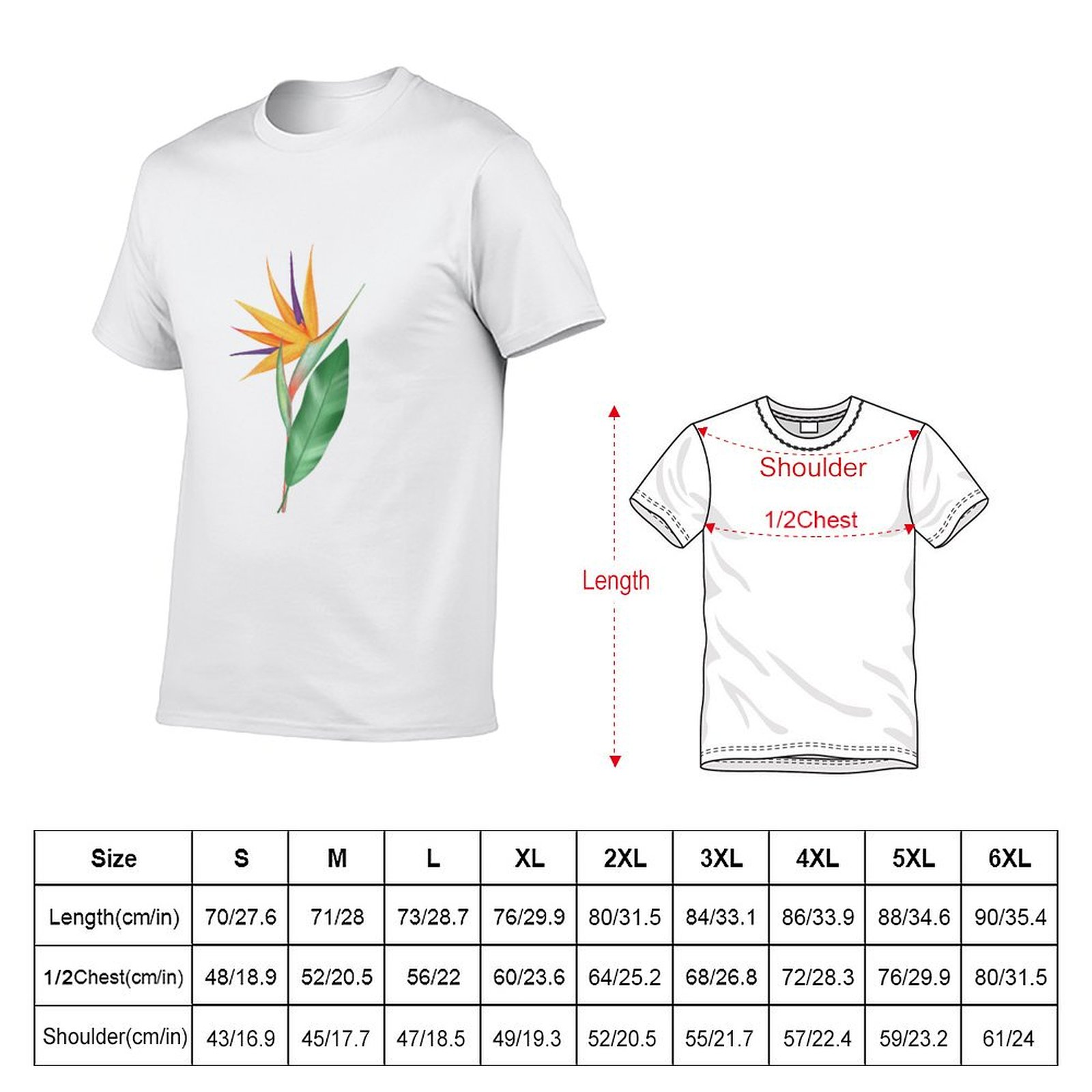 Watercolor bird of paradise fl - Bird Paradise Strelitzia ulasan dan harga