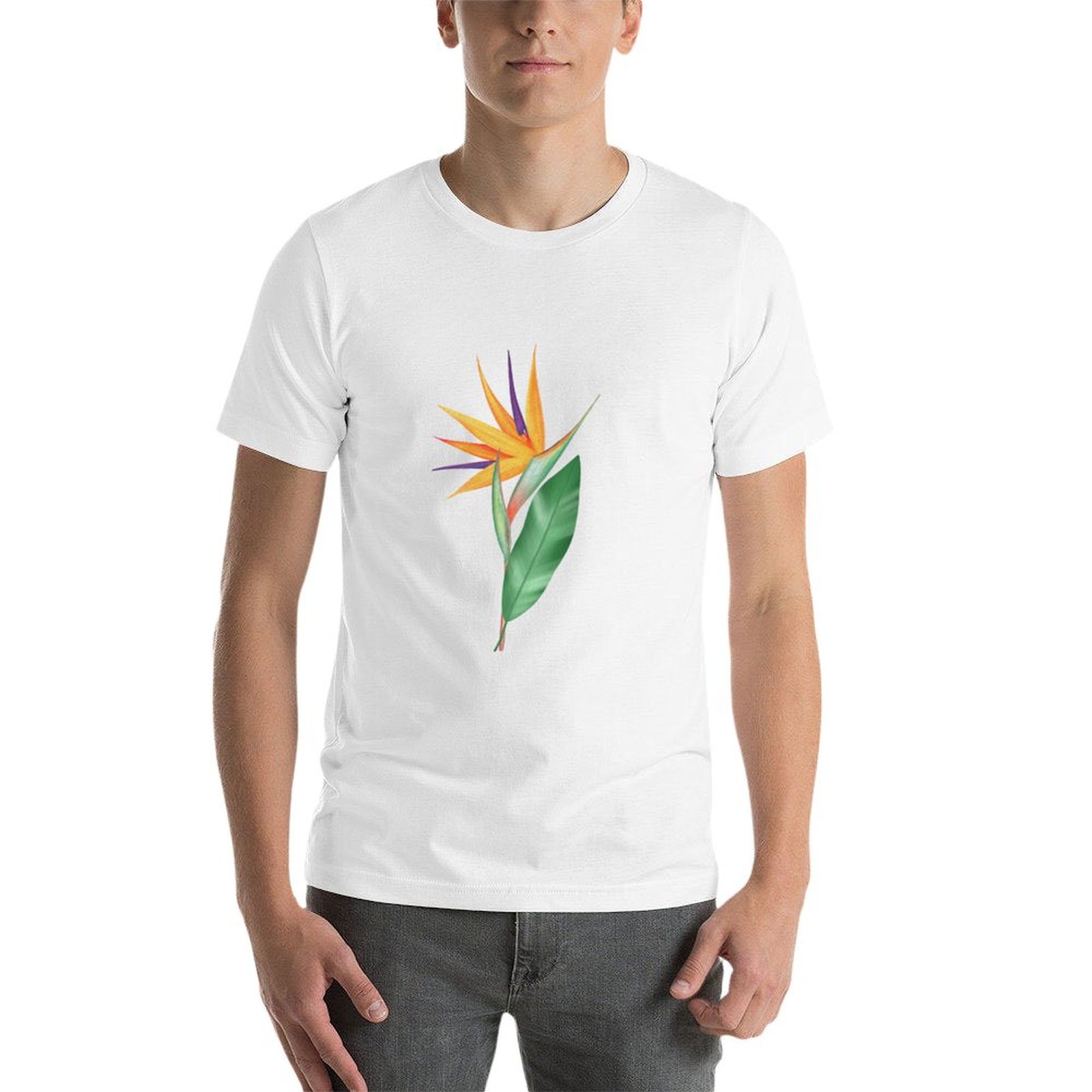 Watercolor bird of paradise fl - Bird Paradise Strelitzia ulasan dan harga