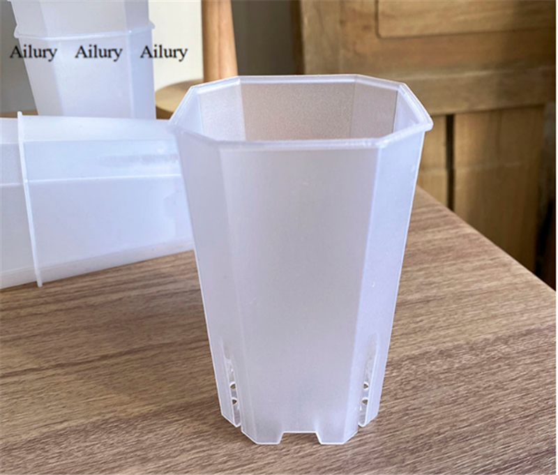 Plastic Diamond Pot Transparen - Aloe Vera Pot ulasan dan harga