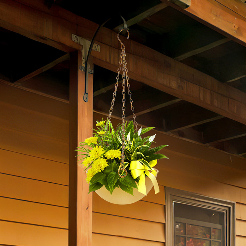 2Pcs Iron Hanging Flower Pots  - Spider Plant Hanging ulasan dan harga