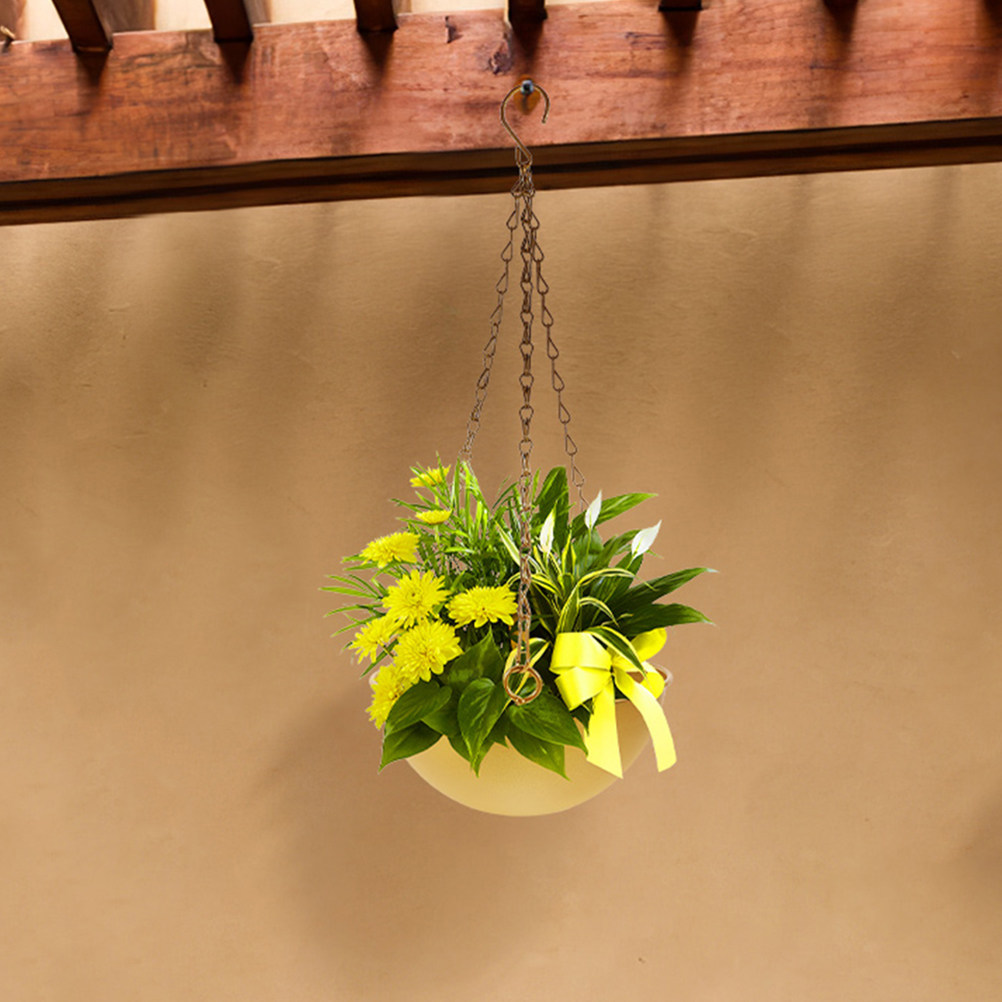 2Pcs Iron Hanging Flower Pots  - Spider Plant Hanging ulasan dan harga