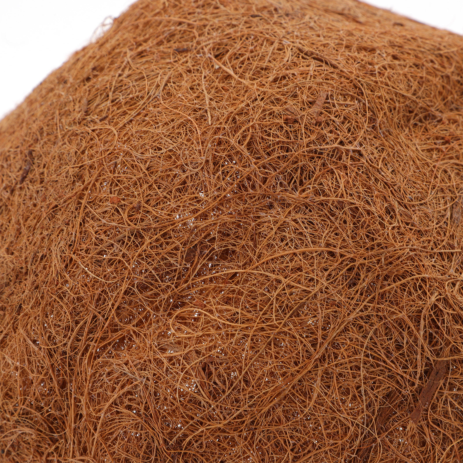 4Pcs Coir Liner for Hanging Ba - Spider Plant Hanging ulasan dan harga