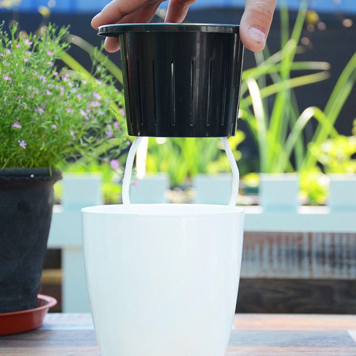 6/12Pcs Self-Watering Flower P - Aloe Vera Pot ulasan dan harga