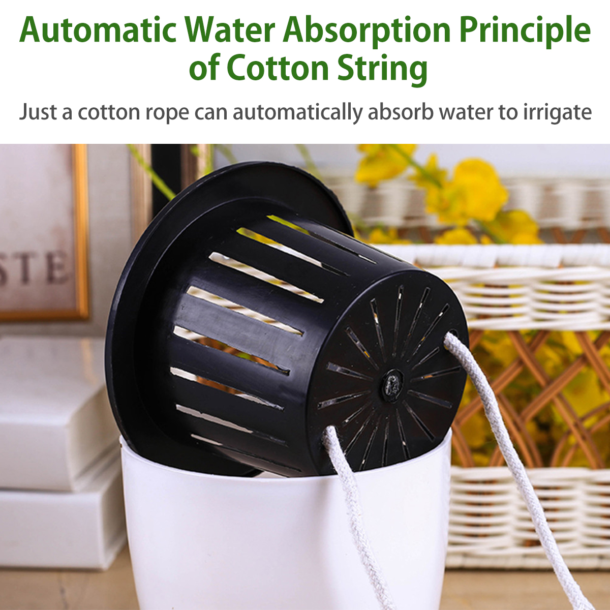 6/12Pcs Self-Watering Flower P - Aloe Vera Pot ulasan dan harga