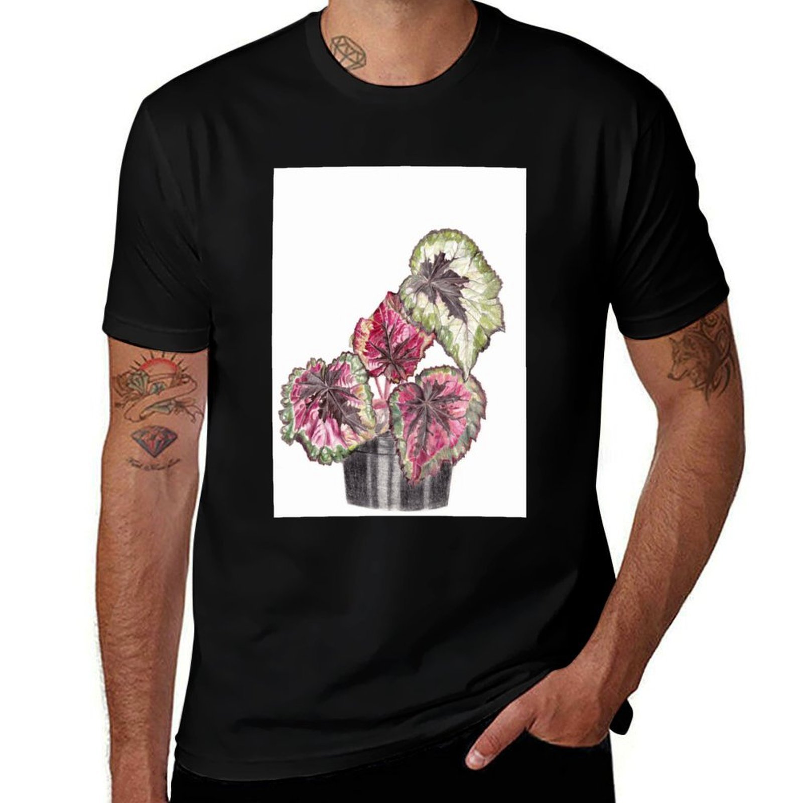 Begonia Rex T-Shirt Simple Gra - Begonia Rex ulasan dan harga